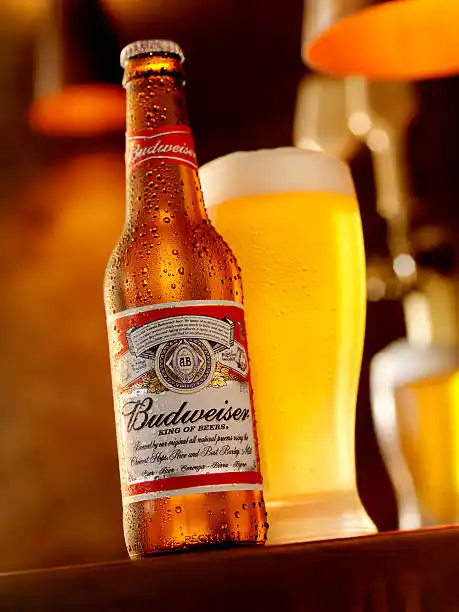 Budweiser long-neck