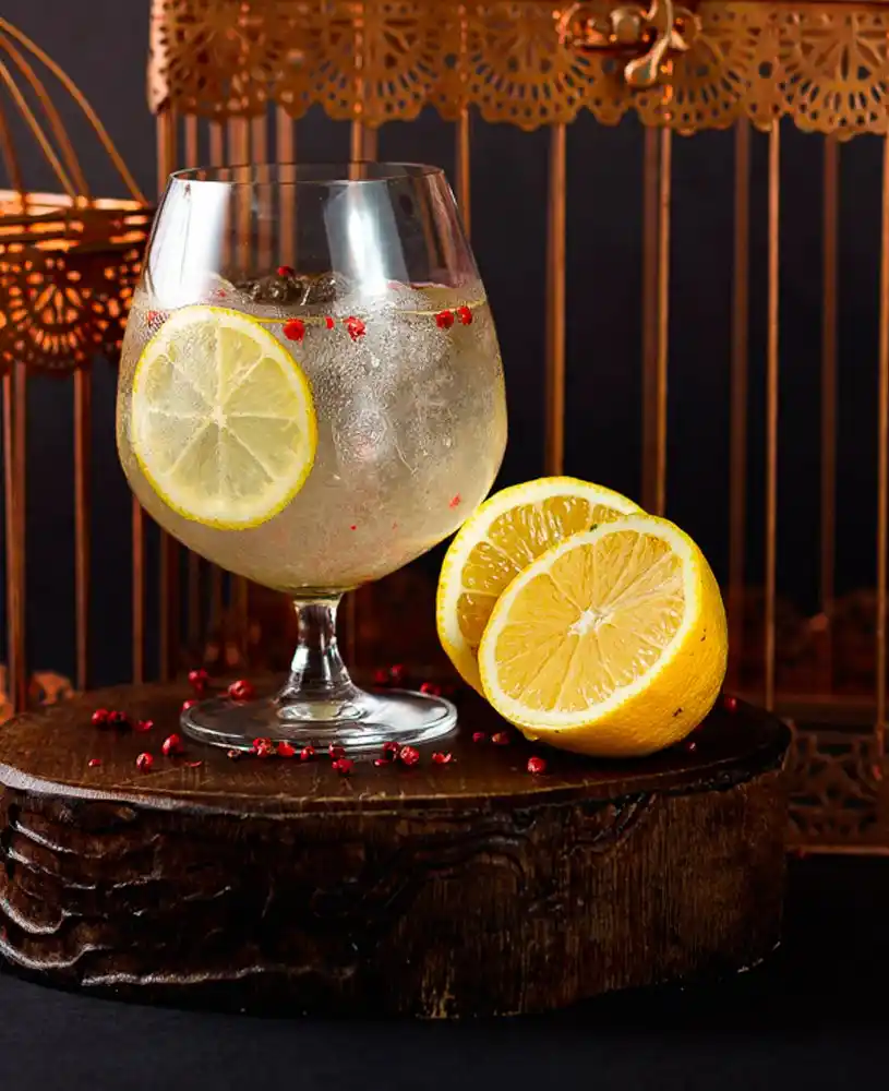 Gin Tônica